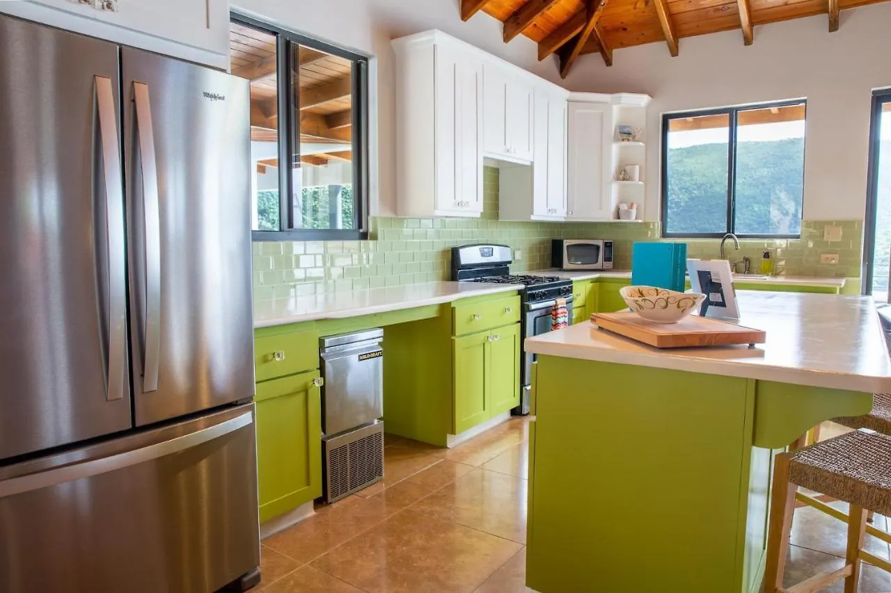Jost Van Dyke, Bvi 3 Bedroom Villa With Caribbean Views & Pool